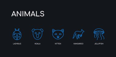 5 anahattı kontur mavi denizanası, kanguru, yavru kedi, koala, uğur böceği simgeler siyah arka plan üzerine hayvanlar koleksiyonundan. satır düzenlenebilir doğrusal ince simgeler.