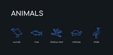 5 anahattı kontur mavi leylek, kaplumbağa, tropik frop, ton balığı, akbaba simgeler siyah arka plan üzerine hayvanlar koleksiyonundan. satır düzenlenebilir doğrusal ince simgeler.