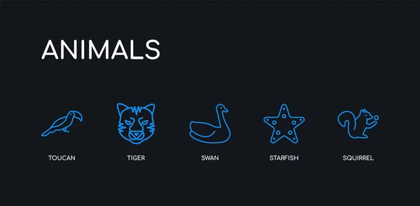5 contorno trazo ardilla azul, estrellas de mar, cisne, tigre, iconos de tucán de la colección de animales sobre fondo negro. línea editable lineal delgada iconos . — Vector de stock