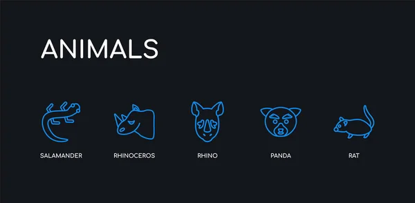 5 contornos rata azul, panda, rinoceronte, rinoceronte, iconos de la salamandra de la colección de animales sobre fondo negro. línea editable lineal delgada iconos . — Vector de stock