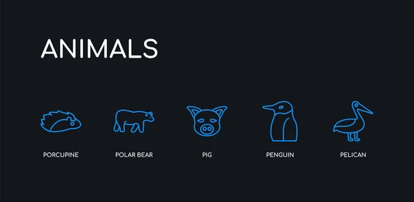 5 anahattı kontur mavi Pelikan, Penguen, domuz, kutup ayısı, kirpi simgeler siyah arka plan üzerine hayvanlar koleksiyonundan. satır düzenlenebilir doğrusal ince simgeler. — Stok Vektör