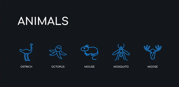 5 contorno del trazo de alce azul, mosquitos, ratón, pulpo, iconos de avestruz de la colección de animales sobre fondo negro. línea editable lineal delgada iconos . — Vector de stock