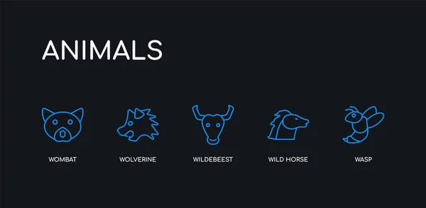 5 outline stroke blue wasp, wild horse, wildebeest, wolverine, wombat icons from animals collection on black background. line editable linear thin icons. — Stock Vector