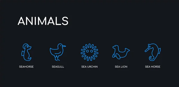 5 contornos del caballo de mar azul, león marino, erizo de mar, gaviota, caballitos de mar iconos de la colección de animales sobre fondo negro. línea editable lineal delgada iconos . — Vector de stock