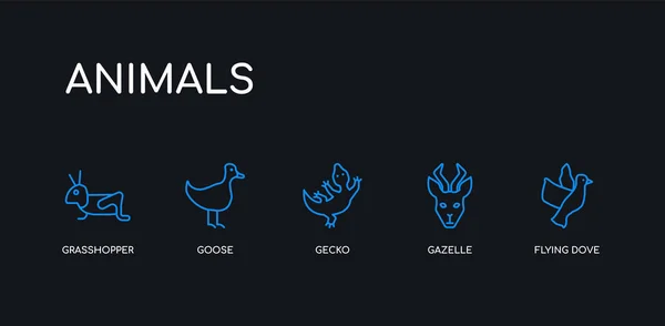 5 outline stroke blue flying dove, gazelle, gecko, goose, grasshopper icons from animals collection on black background. line editable linear thin icons. — Stock Vector