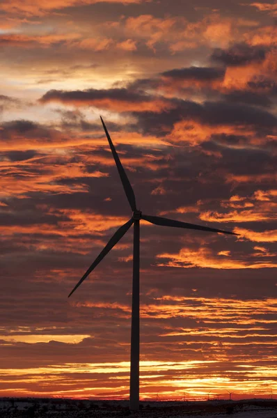 wind turbines at sunset, wind energy
