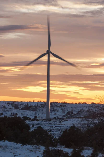 wind turbines at sunset, wind energy