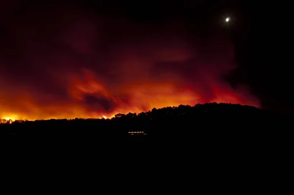 Incendi Boschivi Pinus Pinaster Guadalajara Spagna — Foto Stock