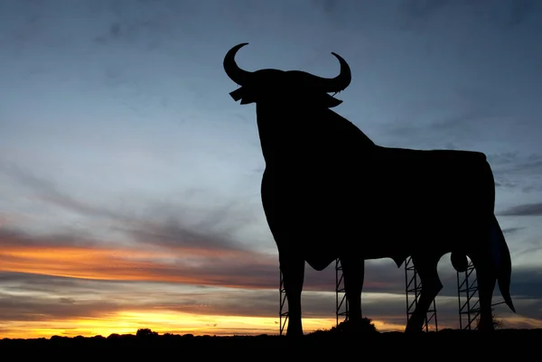 Osborne bull at sunset, Spain