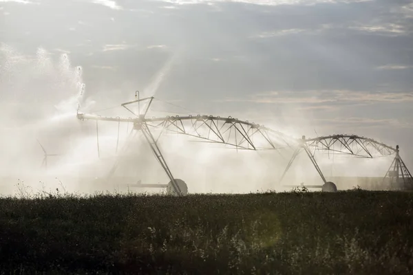 automatic irrigation sprinklers, extensive agriculture, crops