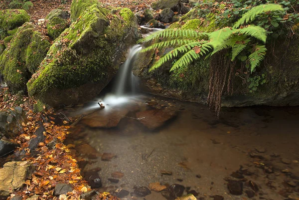 Wasserfall Mit Blättern Moos Herbstfarben — Stockfoto