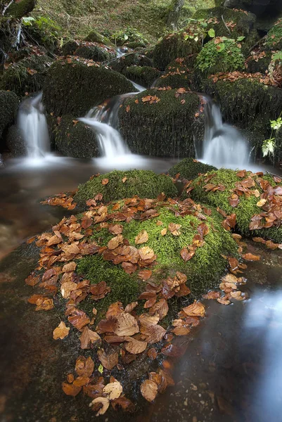 Cascada Con Hojas Moss Colores Otoñales — Foto de Stock