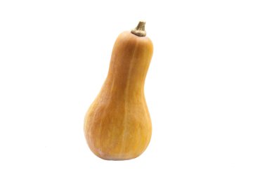 Beyaz arka plan ile kabak