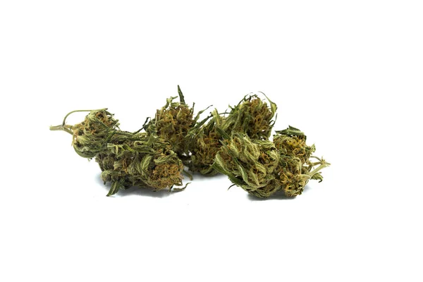 Gemme Marijuana Sfondo Bianco — Foto Stock