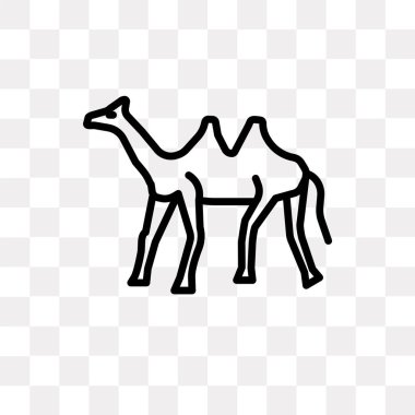 Saydam arka plan üzerinde Dromedary logo kavramı izole dromedary vektör simgesi