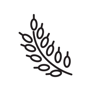 Tahıl simge vektör beyaz zemin üzerine tahıl işareti, l izole