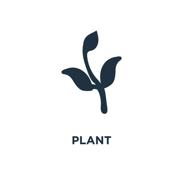 Ícone Planta Ilustração Vetorial Cheia Preto Símbolo Planta Fundo Branco —  Vetores de Stock