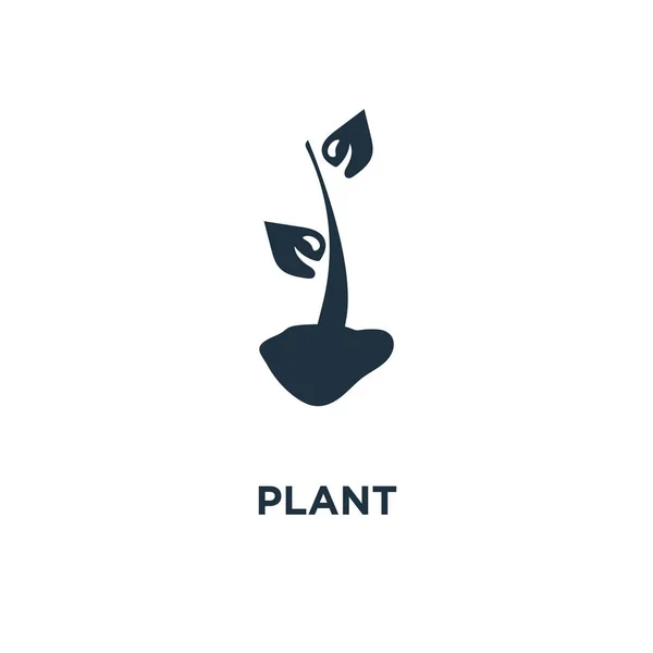 Ícone Planta Ilustração Vetorial Cheia Preto Símbolo Planta Fundo Branco —  Vetores de Stock