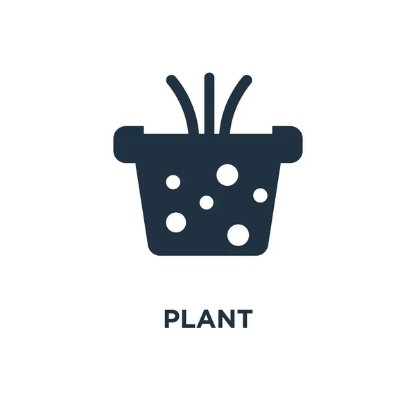 Ícone Planta Ilustração Vetorial Cheia Preto Símbolo Planta Fundo Branco —  Vetores de Stock
