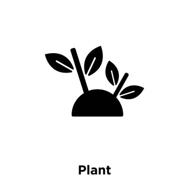Beyaz arka plan, logo şeffaf arka plan bitki işareti kavramı üzerinde izole bitki simge vektör siyah sembol dolu