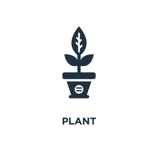 Icono Planta Ilustración Vectorial Negra Símbolo Planta Sobre Fondo Blanco — Archivo Imágenes Vectoriales