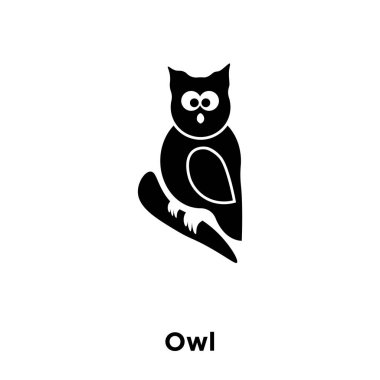 Beyaz arka plan, logo şeffaf arka plan, baykuş işareti kavramı üzerinde izole baykuş simge vektör siyah sembol dolu