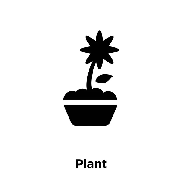 Plant Pictogram Vector Geïsoleerd Een Witte Achtergrond Logo Concept Van — Stockvector