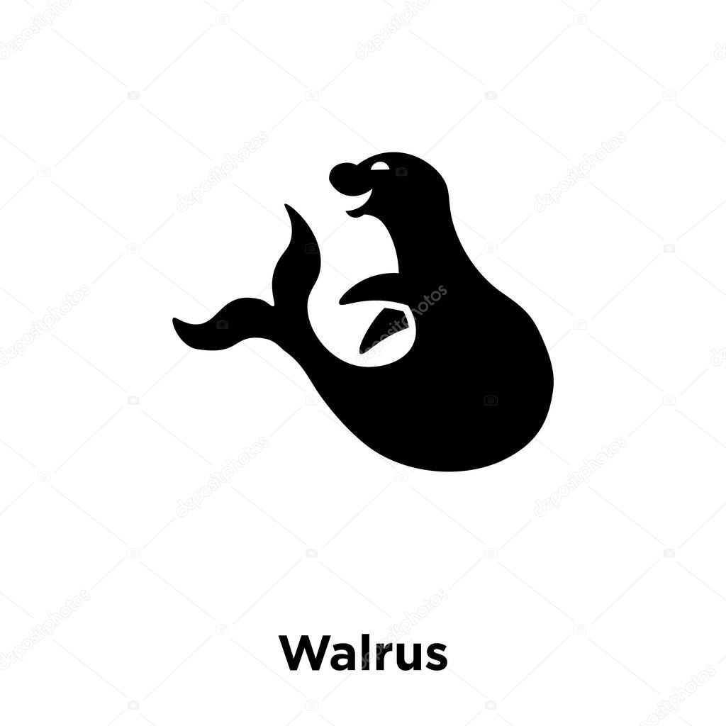 Walrus icon vector isolated on white background, logo concept of Walrus sign on transparent background, filled black symbol