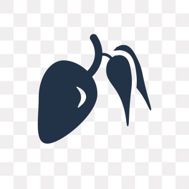 Saydam arka plan üzerinde Mango saydamlık kavramı izole mango vektör simge kullandığınız web ve mobil olabilir