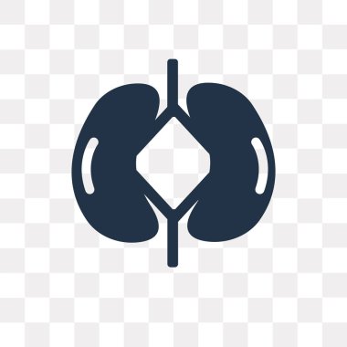 Böbrekler üzerinde şeffaf arka plan izole simge vektör, böbrekler saydamlık kavramı kullanılan web ve mobil olabilir