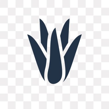 Aloe Vera vektör simge şeffaf arka plan üzerinde Aloe Vera saydamlık kavramı izole kullanılan web ve mobil olabilir