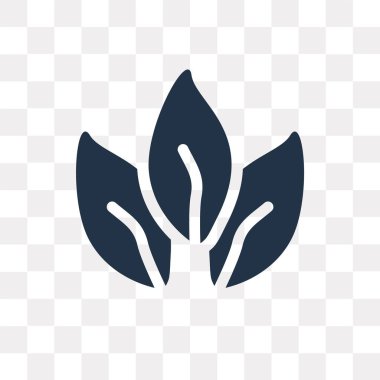 Saydam arka plan üzerinde yaprak saydamlık kavramı izole yaprak vektör simge kullandığınız web ve mobil olabilir