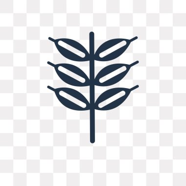 Saydam arka plan üzerinde tahıl saydamlık kavramı izole tahıl vektör simge kullandığınız web ve mobil olabilir