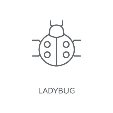 Uğur böceği doğrusal simgesi. Uğur böceği kavramı kontur sembolü tasarım. İnce grafik öğeleri illüstrasyon, beyaz bir arka plan, eps 10 anahat desen vektör.