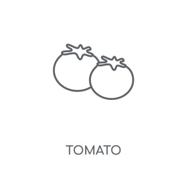 Domates doğrusal simgesi. Domates kavramı kontur sembolü tasarım. İnce grafik öğeleri illüstrasyon, beyaz bir arka plan, eps 10 anahat desen vektör.