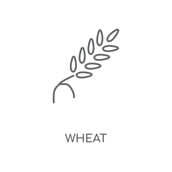 小麦線形アイコン 小麦コンセプト ストローク シンボル デザイン 薄いグラフィック要素ベクトル イラスト 白い背景 Eps の概要パターン — ストックベクタ