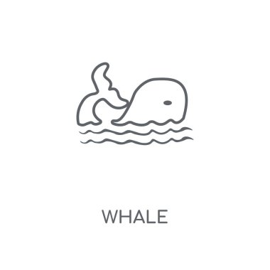 Balina doğrusal simgesi. Kavramı kontur sembolü tasarım balina. İnce grafik öğeleri illüstrasyon, beyaz bir arka plan, eps 10 anahat desen vektör.