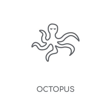 Ahtapot doğrusal simgesi. Ahtapot kavramı kontur sembolü tasarım. İnce grafik öğeleri illüstrasyon, beyaz bir arka plan, eps 10 anahat desen vektör.