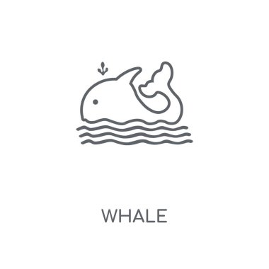 Balina doğrusal simgesi. Kavramı kontur sembolü tasarım balina. İnce grafik öğeleri illüstrasyon, beyaz bir arka plan, eps 10 anahat desen vektör.