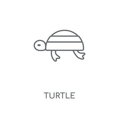 Kaplumbağa doğrusal simgesi. Kaplumbağa kavramı kontur sembolü tasarım. İnce grafik öğeleri illüstrasyon, beyaz bir arka plan, eps 10 anahat desen vektör.