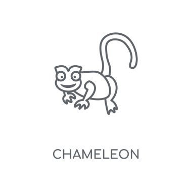 Bukalemun doğrusal simgesi. Bukalemun kavramı kontur sembolü tasarım. İnce grafik öğeleri illüstrasyon, beyaz bir arka plan, eps 10 anahat desen vektör.