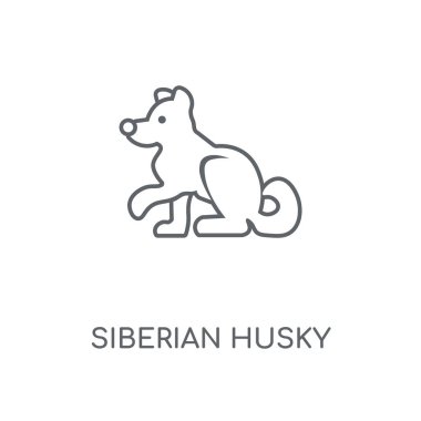 Siberian dış yapraklar doğrusal simgesi. Siberian dış yapraklar kavramı kontur sembolü tasarım. İnce grafik öğeleri illüstrasyon, beyaz bir arka plan, eps 10 anahat desen vektör.