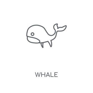 Balina doğrusal simgesi. Kavramı kontur sembolü tasarım balina. İnce grafik öğeleri illüstrasyon, beyaz bir arka plan, eps 10 anahat desen vektör.