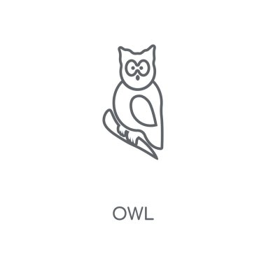 Baykuş doğrusal simgesi. Baykuş kavramı kontur sembolü tasarım. İnce grafik öğeleri illüstrasyon, beyaz bir arka plan, eps 10 anahat desen vektör.