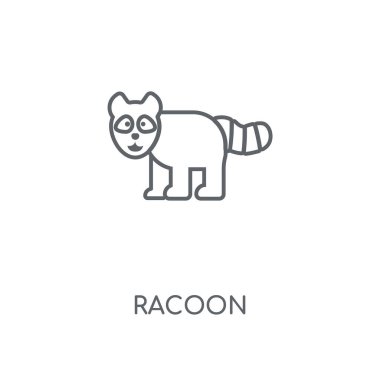 Racoon doğrusal simgesi. Racoon kavramı kontur sembolü tasarım. İnce grafik öğeleri illüstrasyon, beyaz bir arka plan, eps 10 anahat desen vektör.
