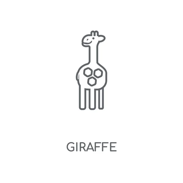 Линейная Икона Жирафа Жираф Концепт Штрих Дизайн Символов Тонкие Графические — стоковый вектор