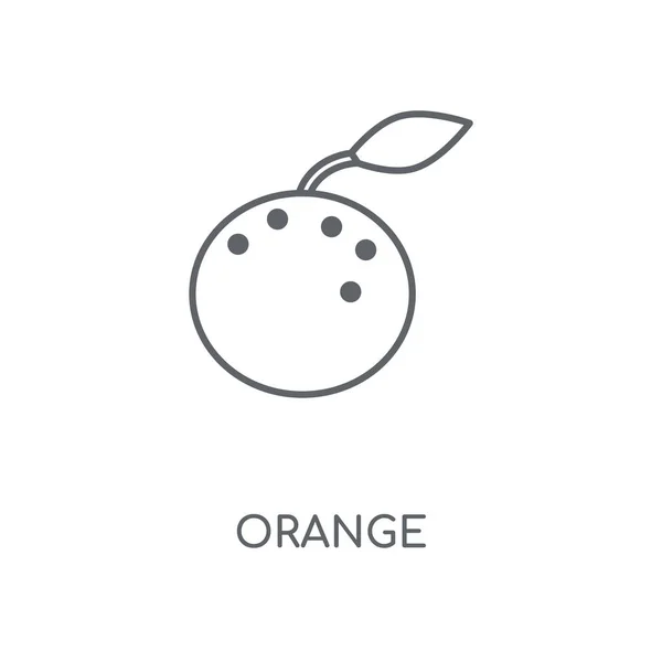 Orange Linjär Ikon Orange Stroke Symbol Konceptdesign Tunn Grafiska Element — Stock vektor