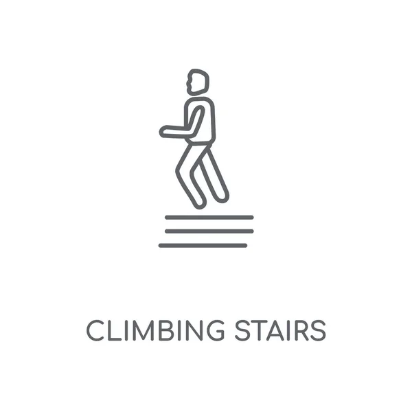 登山階段直線アイコン 登山階段コンセプトのストローク シンボルのデザイン 薄いグラフィック要素ベクトル イラスト 白い背景 Eps の概要パターン — ストックベクタ