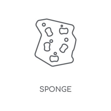 Sünger doğrusal simgesi. Sünger kavramı kontur sembolü tasarım. İnce grafik öğeleri illüstrasyon, beyaz bir arka plan, eps 10 anahat desen vektör.