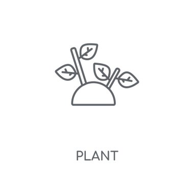 Bitki doğrusal simgesi. Kavramı kontur sembolü tasarım bitki. İnce grafik öğeleri illüstrasyon, beyaz bir arka plan, eps 10 anahat desen vektör.